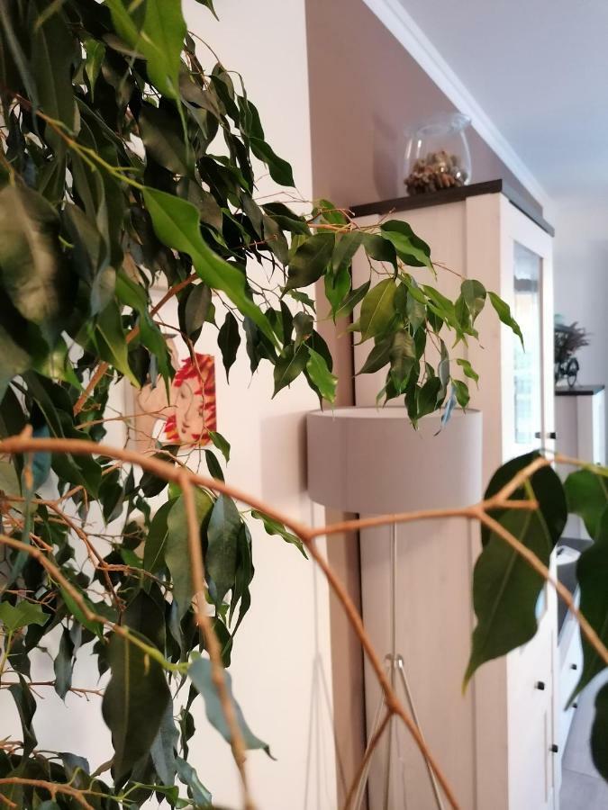 Apartman Luna Šibenik Kültér fotó