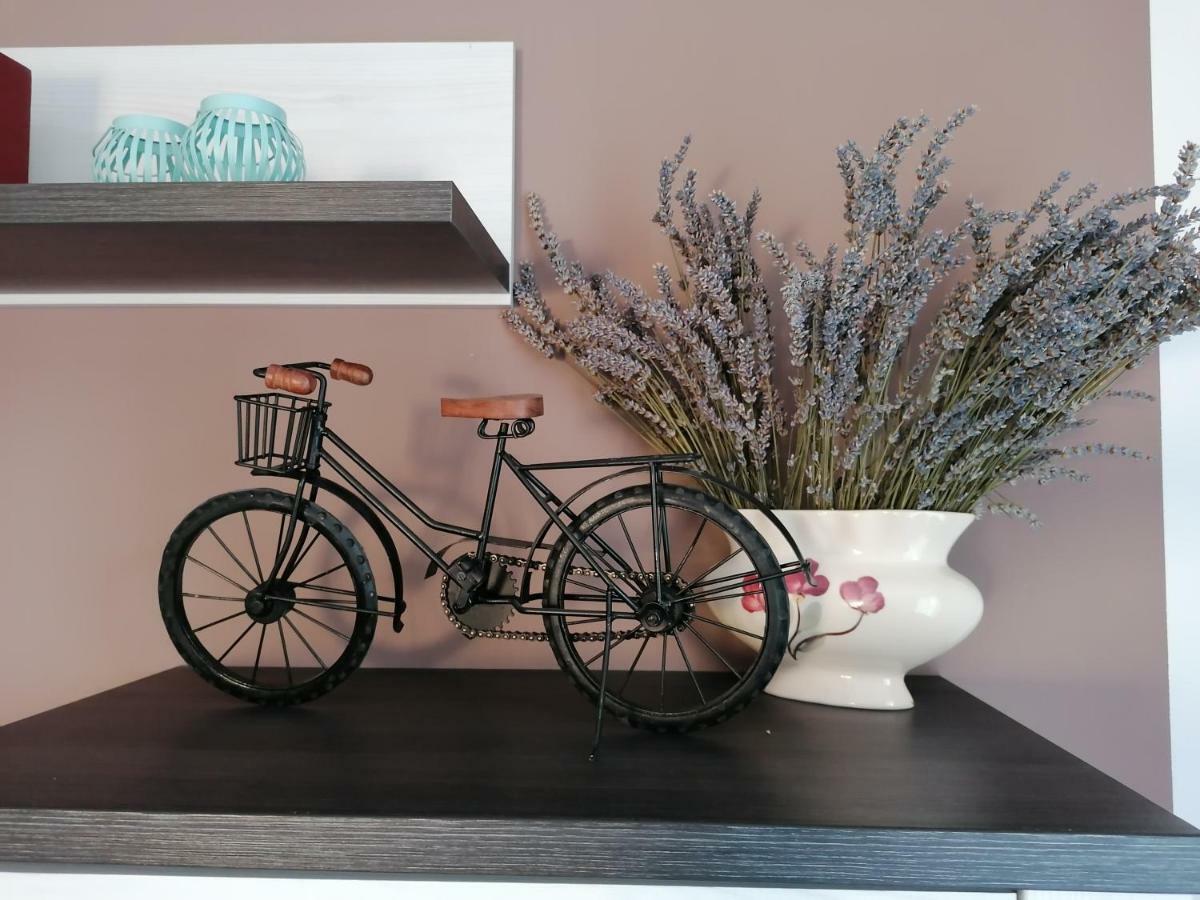 Apartman Luna Šibenik Kültér fotó